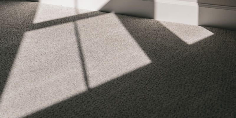 professional carpet clean
